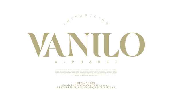 Vanilo premium luxury elegant alphabet letters and numbers. Elegant wedding typography classic serif font decorative vintage retro. Creative vector illustration