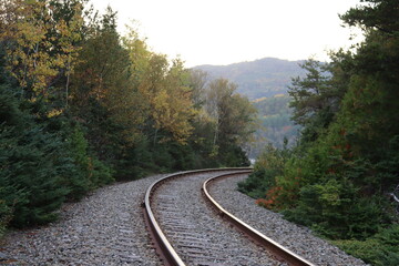 Railroad in a forest in summer or autumn. Nature landscape and railway. Road and perspective. Transportation in a forest.
