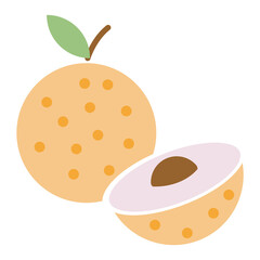 Vector illustration of Longan icon sign and symbol. colored icons for website design .Simple design on transparent background (PNG).
