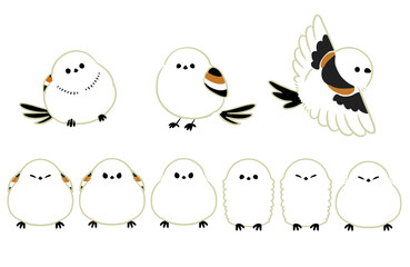 色々なポーズのシマエナガイラスト