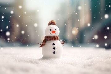 Photography The snow falls softly creating a blurred background of white.