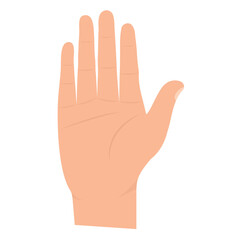 Vector illustration of hand. Colored vector for website design .Simple design on transparent background (PNG).