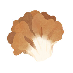 まいたけのイラスト