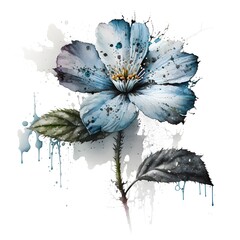 White flower with blue tainted petals watercolor with ink outlines on watercolor paper isolated on a WHITE background detailed high contrast blended water intricate details damp sponge NO watermark 
