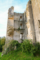 Fototapete bei efototapeten.de bestellen   