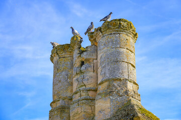 Fototapete bei efototapeten.de bestellen   