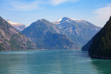 Arctic forest along the shore of Tracy Arm Fjord near Juneau in southeastern Alaska, USA