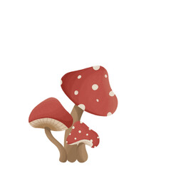 Mushroom illustration 