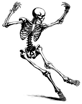 Dancing Skeleton Images – Parcourir 2,154 le catalogue de photos, vecteurs  et vidéos