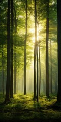 tranquil forest with sunlight filtering through trees, generative AI