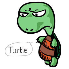 I have a large shell and a long lifespan.