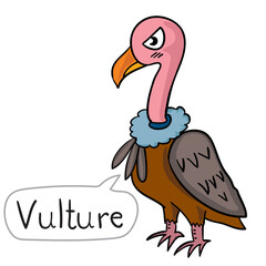 I am a bird that really likes to eat carrion.