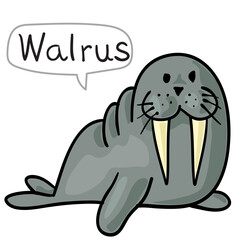 I'm plump and cute, and my teeth are nice.