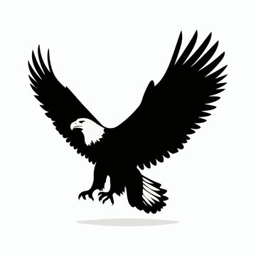 silhoutte eagle vector illustration