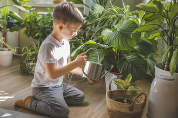 Little cute boy is watering indoor plants from a stylish watering can in a designer white home...