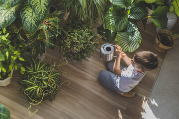 Little cute boy is watering indoor plants from a stylish watering can in a designer white home...