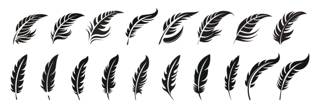 Feather icons. Set of black feather icons isolated. Feather silhouettes.