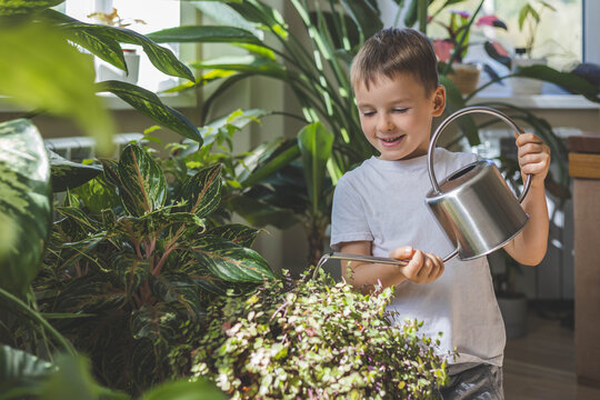 A child in home clothes waters indoor plants from a beautiful stylish metal watering can. Concept Care and watering of home flowers.