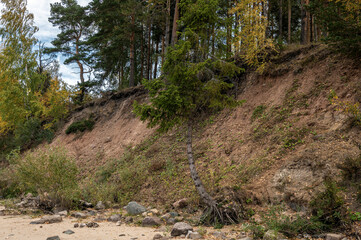 High river bank with an empty sandy beach. Autumn sketch.