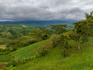 Corn fields and green plants over mountain valley. Blue sky and clouds. Mindanao, Philippines.