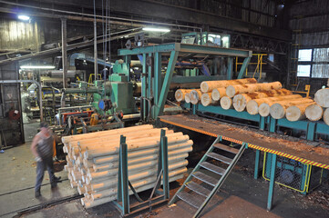 plywood factory