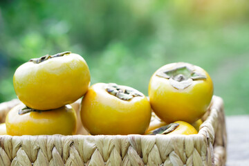 Ripe yellow sweet persimmon fruits in wicker basket. Diospyros family plants.  Concept, Agriculture crops. Seasonal fruit. Healthy eating.    