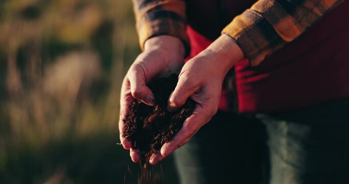 Farming, hands and checking soil in inspection of agriculture, fertilizer and natural nutrition for seed. Farmer, closeup and dirt or compost for growth, sustainability and agro on countryside field