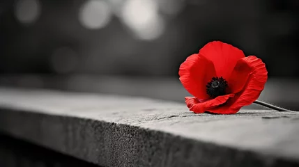 Foto op Plexiglas Pay tribute to fallen heroes with a close-up shot of a single red poppy resting on a war memorial, symbolizing sacrifice and remembrance. © LaxmiOwl