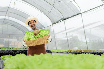 Male Asian farmer holding vegetables showing to camera, smiling Modern business in the home building