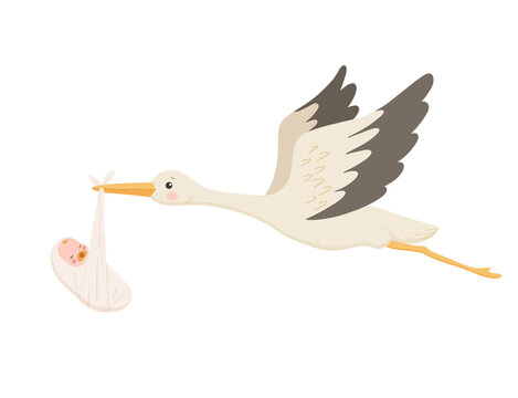 Cute stork flies and carries newborn baby in clouds. Vector cartoon illustration isolated on white.