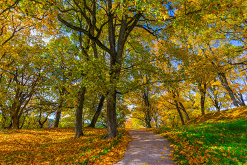 Dubingiai mound in Lithuania at autumn