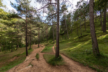 pirineos, españa