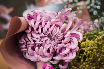 pink chrysanthemum flower head bud. Florist shop. Flowers store