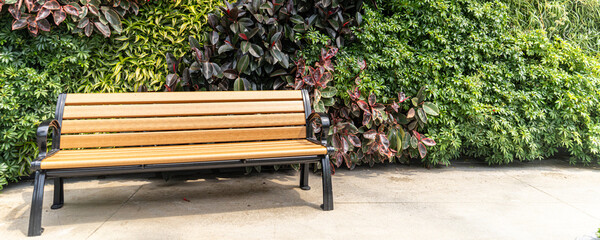 Park bench in public park gardens