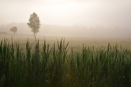 Sun rises