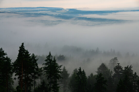 Early morning view
