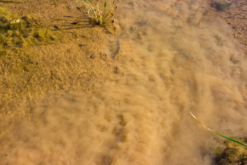Mud raised from the bottom of a reservoir. Turbidity in the water in shallow river water