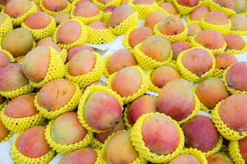 Stack of mango sell in supermarket