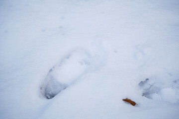 雪に残る子供の足跡