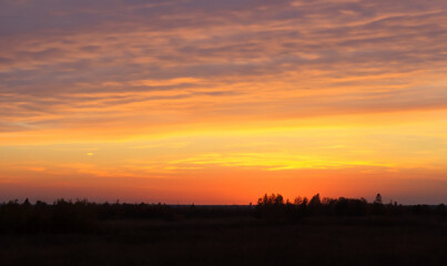 Fototapeta premium 秋の夕焼け風景（Autumn sunset）- 草原（meadow）