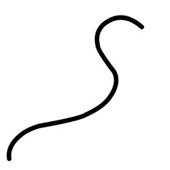 Hand Drawn Minimalis Lines