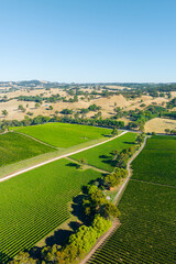 Aerial photo of a vineyard in the Adelaide Hills