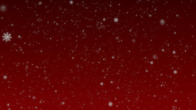 Painted white snowflakes fall on a gradient red background. Animated background for the holidays Christmas and New Year.