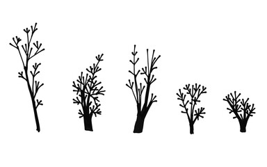 Fototapeta na wymiar Set of trees. Cluster of plant. landscape and front view. Hand drawn modern illustration. Isolated design element. Poster, print template.