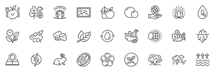 Icons pack as Antistatic, Photo and Cold-pressed oil line icons for app include Natural linen, Leaf, Vegetables outline thin icon web set. Pecan nut, Co2 gas, Potato pictogram. Vector