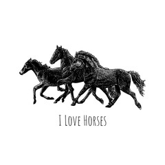 I Love Horses Day hand drawing vector isolated on background.