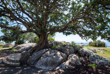 Temple of Jupiter Anxur - Italy
