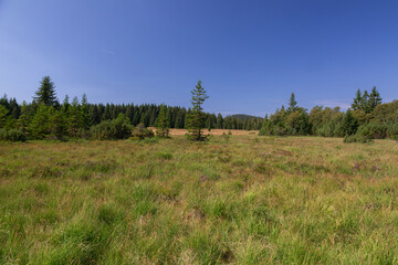 View on national park Sumava on summer day, West Bohemia. Czech Republic.
