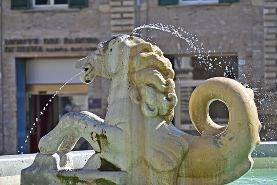 Pesaro, piazza del Popolo e fontana la Pupilla di Pesaro -  Marche