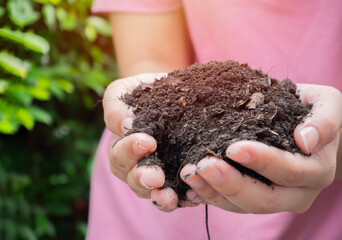 Close up of female hand holding soil, hand dirty with soil, hands holding soil in agricultural field.